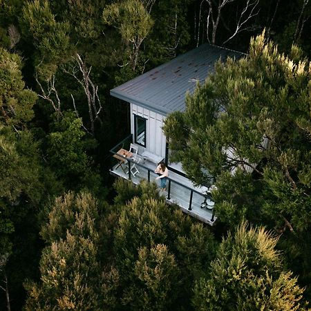 Treetop Tranquility At Rekindle Tree Houses Opua Dış mekan fotoğraf