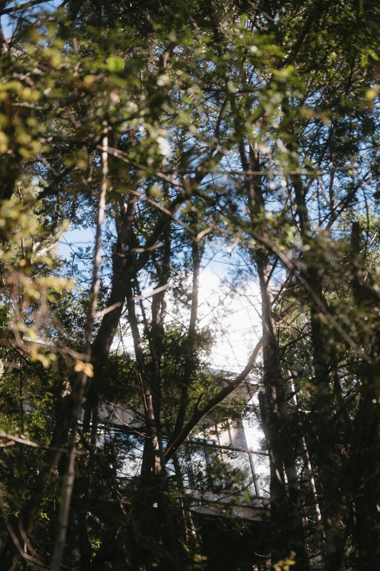 Treetop Tranquility At Rekindle Tree Houses Opua Dış mekan fotoğraf
