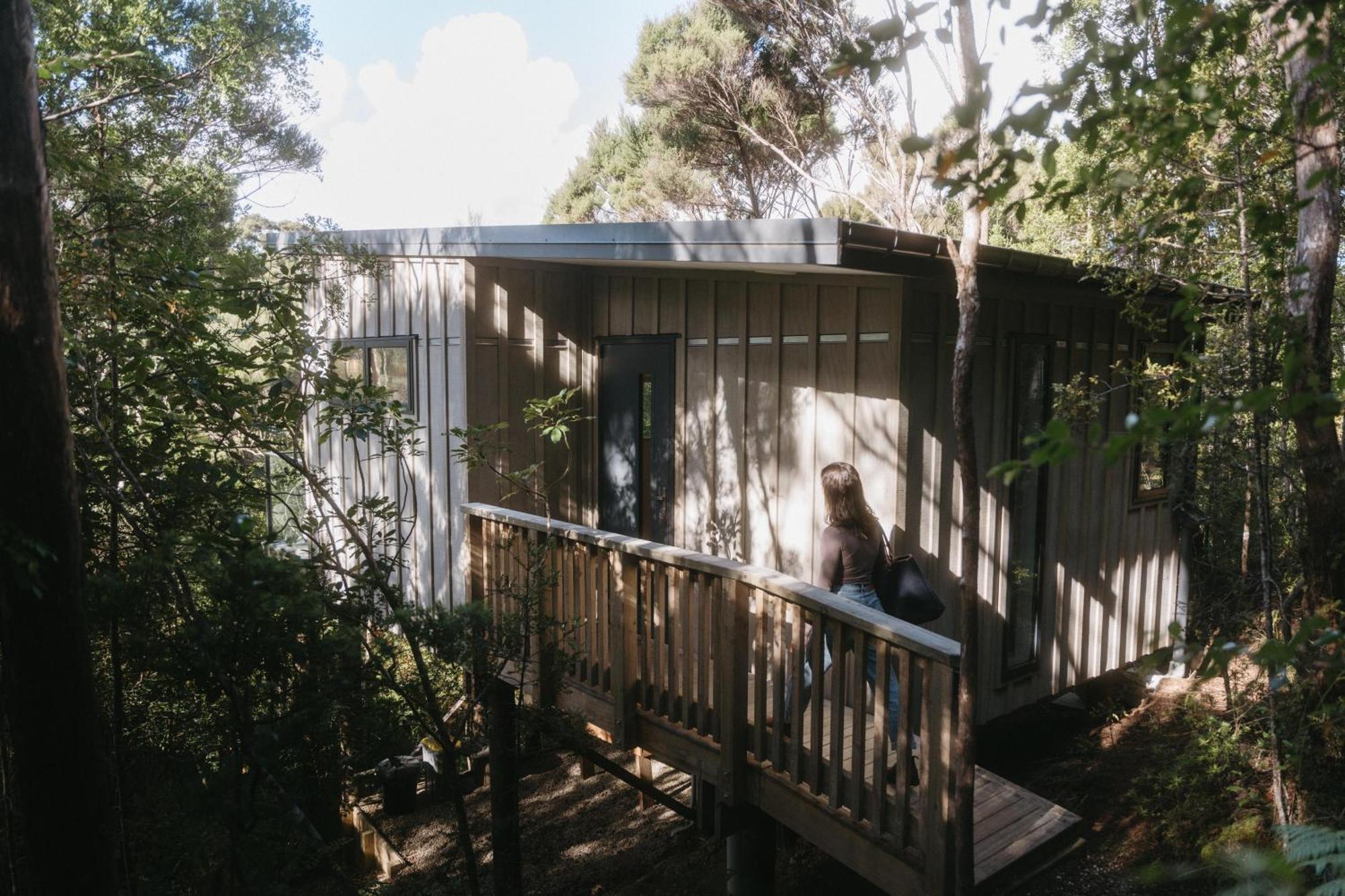 Treetop Tranquility At Rekindle Tree Houses Opua Dış mekan fotoğraf