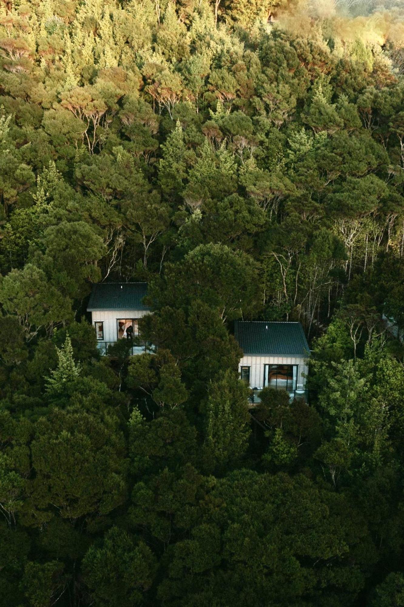 Treetop Tranquility At Rekindle Tree Houses Opua Dış mekan fotoğraf
